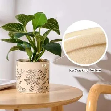 STHIE Indoor Ceramic Plant Pots with Drainage Holes 5 Inch Cute Succulent Flower Pots Small Orchid Planter Pots for Indoor Plants Garden Pots, Peony