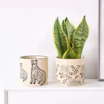 STHIE Indoor Ceramic Plant Pots with Drainage Holes 5 Inch Cute Succulent Flower Pots Small Orchid Planter Pots for Indoor Plants Garden Pots, Peony