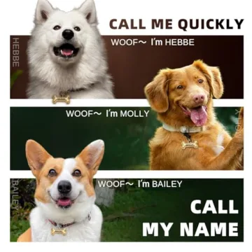 Stylish Double-Sided Personalized Pet Tags for Dogs