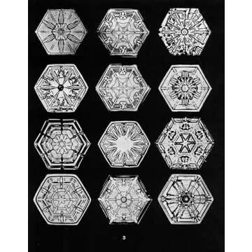 Stunning Snowflake Collection by Wilson Bentley