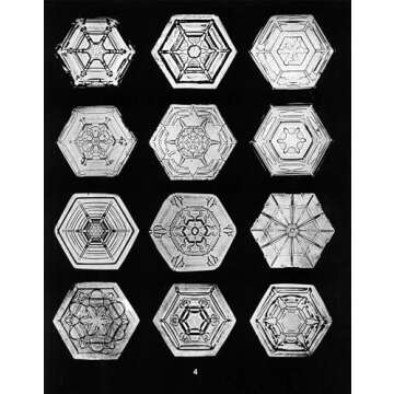Snowflakes in Photographs (Dover Pictorial Archive)