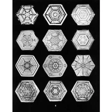 Stunning Snowflake Collection by Wilson Bentley