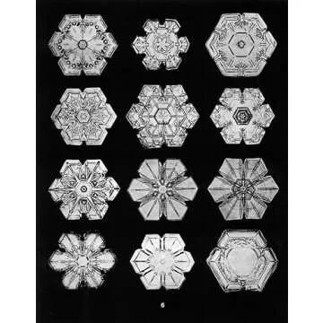 Stunning Snowflake Collection by Wilson Bentley