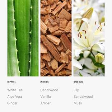 Aroma360 Hotel Collection Diffuser Oil-Dream On-Aromatherapy Essential Fragrance Oil-Luxury Hotel Inspired-White Tea, Cedarwood & Amber-120ML 4.1 Fl oz