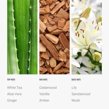 Aroma360 Hotel Collection Diffuser Oil-Dream On-Aromatherapy Essential Fragrance Oil-Luxury Hotel Inspired-White Tea, Cedarwood & Amber-120ML 4.1 Fl oz