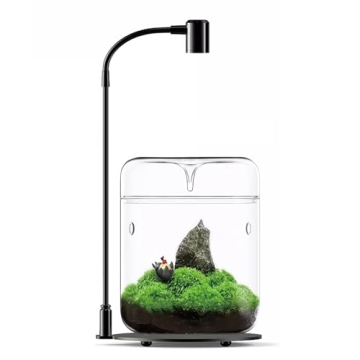 Glass Plant Terrarium 4.7"X7" Inches Succulent Air Planter Fern Moss Micro-Landscape Vase for Home O...