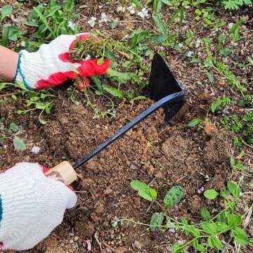 HomeTheWay Korean Youngju Daejanggan Master Homi Garden Tools Hoe with Safety Cover M Size/Garden plow/Weeding Sickle/Weeding Farming Tool