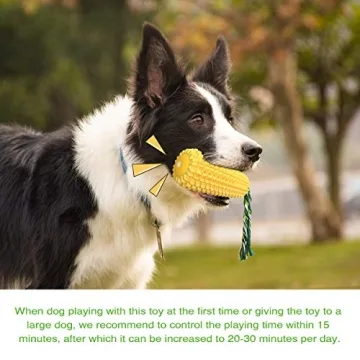 Durable Squeaky Chew Toy for Aggressive Dogs