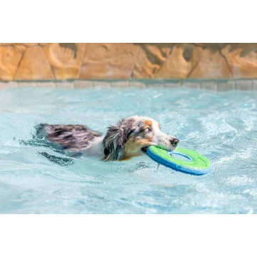 Chuckit! Zipflight Flying Disc for Fun Fetching