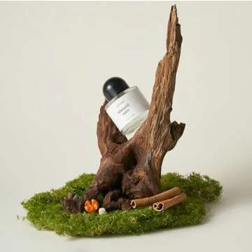 16PCS Original Design Natural Forest Wood Product Photography Background Prop Set, Natural Sunken Wo...