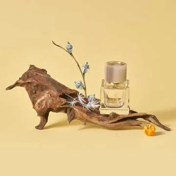 16PCS Original Design Natural Forest Wood Product Photography Background Prop Set, Natural Sunken Wood Imitaion Moss Dried Flowers Landscape Decorations Props for Photoshoot