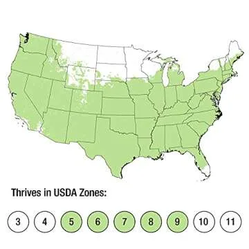 2.5 Qt - Evercolor 'Everillo' Carex, Ornamental Grass with Bright Yellow/Green Foliage, Southern Living Plant Collection