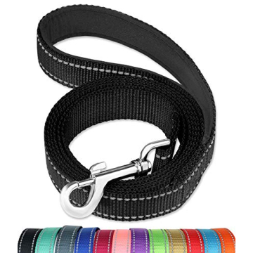 FunTags 6FT Reflective Dog Leash - Soft Padded Handle for Comfort & Safety