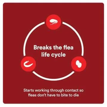 Advecta Ultra Flea And Tick Prevention For Dogs - Dog and Puppy Treatment and Control - Mosquito Repellent - Large, Fast Acting Waterproof Topical Drops, 4 Month Supply