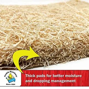 Laying Hen Nest Box Pads and Chicken Coop Floor Pads Made in USA from Sustainable Aspen Exceslior - 13 x 13 Thick Pads (40 Pack)