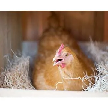 Laying Hen Nest Box Pads and Chicken Coop Floor Pads Made in USA from Sustainable Aspen Exceslior - 13 x 13 Thick Pads (40 Pack)