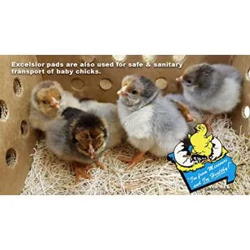 Laying Hen Nest Box Pads and Chicken Coop Floor Pads Made in USA from Sustainable Aspen Exceslior - 13 x 13 Thick Pads (40 Pack)