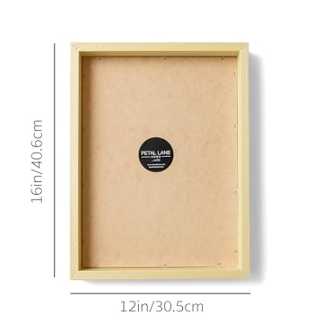 Petal Lane Kids ABC Wall Decor - Vibrant Framed Art