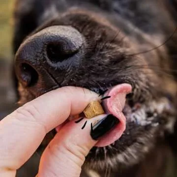 Spot & Tango Beef Dog Training Treats - 100% Natural