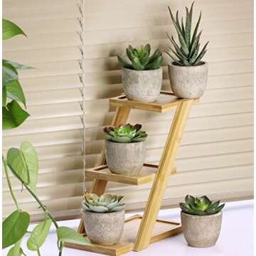 Winlyn Assorted Decorative Faux Succulent Artificial Succulent Cactus Fake Cacti Plants with Gray Pots, Set of 5