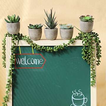 Winlyn Assorted Decorative Faux Succulent Artificial Succulent Cactus Fake Cacti Plants with Gray Pots, Set of 5