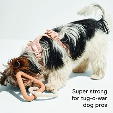 Durable Wild One Triangle Tug Dog Toy for Small Breeds