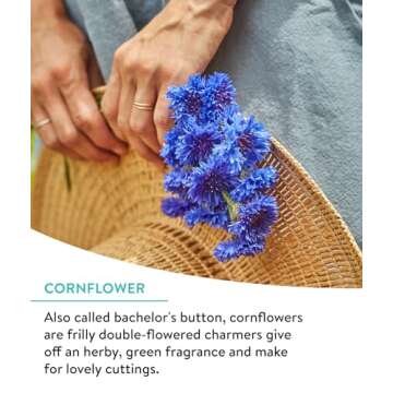 Burpee Wildflower Seeds Cutting Mix | 25,000 Bulk Seeds, Multi, 1 Bag | 15 Varieties of Non-GMO Flower Seeds | Perennial Wildflower Seeds Pollinator Mix | Covers 1,000 Sq. Ft.