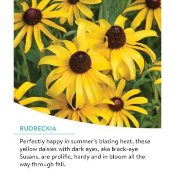 Burpee Wildflower Seeds Cutting Mix | 25,000 Bulk Seeds, Multi, 1 Bag | 15 Varieties of Non-GMO Flower Seeds | Perennial Wildflower Seeds Pollinator Mix | Covers 1,000 Sq. Ft.