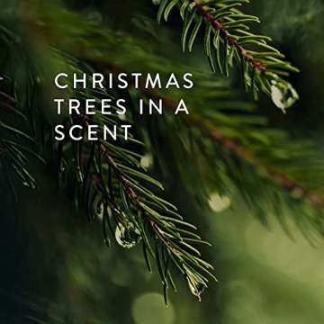 Thymes Pura Smart Home Plug-in Diffuser Kit - Pura Diffuser Refills with a Fresh Home Fragrance (V3 Pura Device + 2 Frasier Fir Refills)