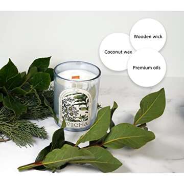 Svicha Candle Crackling Wood Scented Eco-Friendly, Candles with Fragrance Oils, Organic Candles Non Toxic, Coconut Wax Candle, Gift Candles Crackle (Cypress and Bayberry)