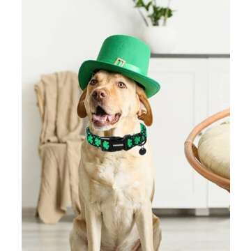 DOGWONG St. Patrick's Day Dog Collar for All Sizes