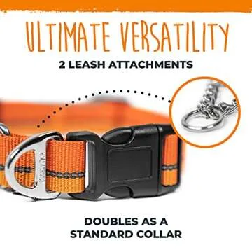 Mighty Paw Martingale Dog Collar 2.0 | Trainer Approved Limited Slip Collar with Stainless Steel Chain & Heavy Duty Buckle - Modified Cinch for Gentle & Effective Pet Training - Medium, Orange