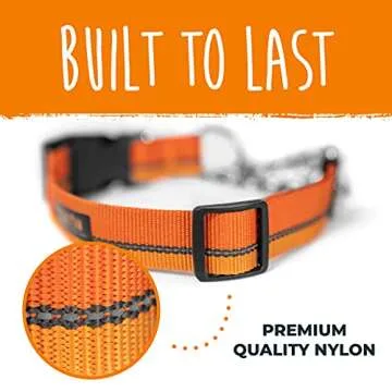 Mighty Paw Martingale Dog Collar 2.0 | Trainer Approved Limited Slip Collar with Stainless Steel Chain & Heavy Duty Buckle - Modified Cinch for Gentle & Effective Pet Training - Medium, Orange