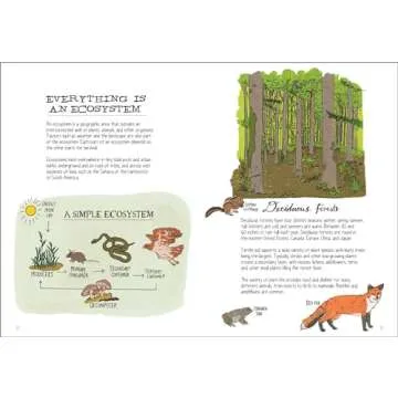 Wildlife Anatomy: The Curious Lives & Features of Wild Animals around the World