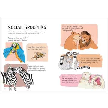 Wildlife Anatomy: The Curious Lives & Features of Wild Animals around the World