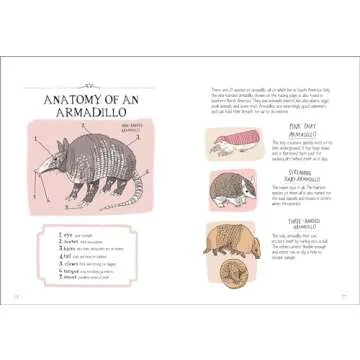 Wildlife Anatomy: The Curious Lives & Features of Wild Animals around the World