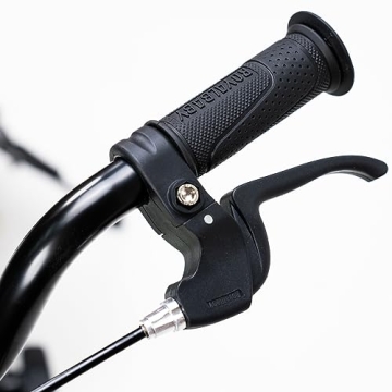 Royalbaby EZ Kids Bike - Balance to Pedal Transition