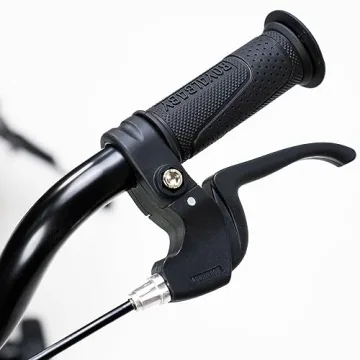 Royalbaby EZ Kids Bike - Balance to Pedal Transition