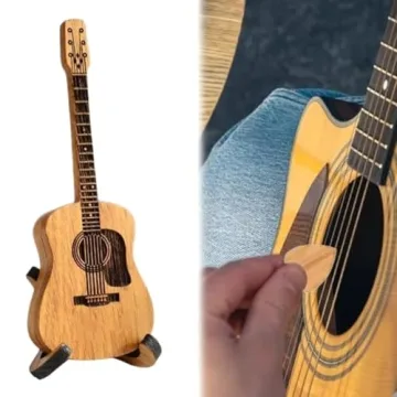Acoustic Guitar Pick Box Set with Stand and Picks