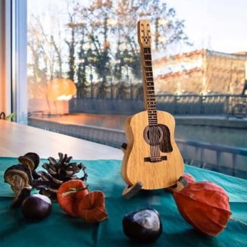 Acoustic Guitar Pick Box Set with Stand and Picks