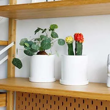 Greenaholics Succulent Small White Planter Pot 4.3 Inch