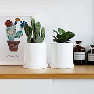 Greenaholics Succulent Small White Planter Pot 4.3 Inch