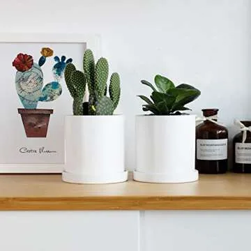 Greenaholics Succulent Small White Planter Pot 4.3 Inch