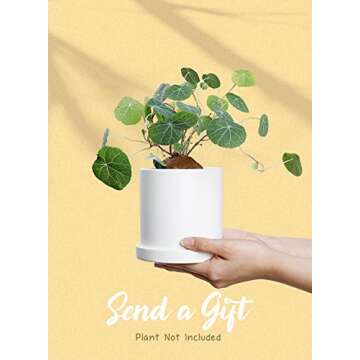 Greenaholics Succulent Small White Planter Pot 4.3 Inch