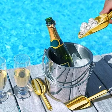 LIANYU Mini Ice Scoop Set Durable and Elegant Kitchen Tool