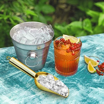 LIANYU Mini Ice Scoop Set Durable and Elegant Kitchen Tool