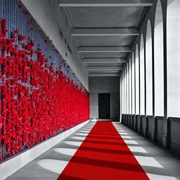 EZLucky Red Carpet Runner for Events 2.6x15 ft