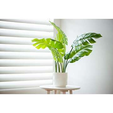 Ceramic Stoneware Planters - Set of 3 Planter Pots for Indoor, 5½” H, White - Stylish Flower Pots with Drainage - Modern Home Decor for Plants - Cactus Planter, Succulent Pot