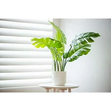 Ceramic Stoneware Planters - Set of 3 Planter Pots for Indoor, 5½” H, White - Stylish Flower Pots with Drainage - Modern Home Decor for Plants - Cactus Planter, Succulent Pot