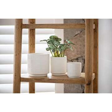 Ceramic Stoneware Planters - Set of 3 Planter Pots for Indoor, 5½” H, White - Stylish Flower Pots with Drainage - Modern Home Decor for Plants - Cactus Planter, Succulent Pot